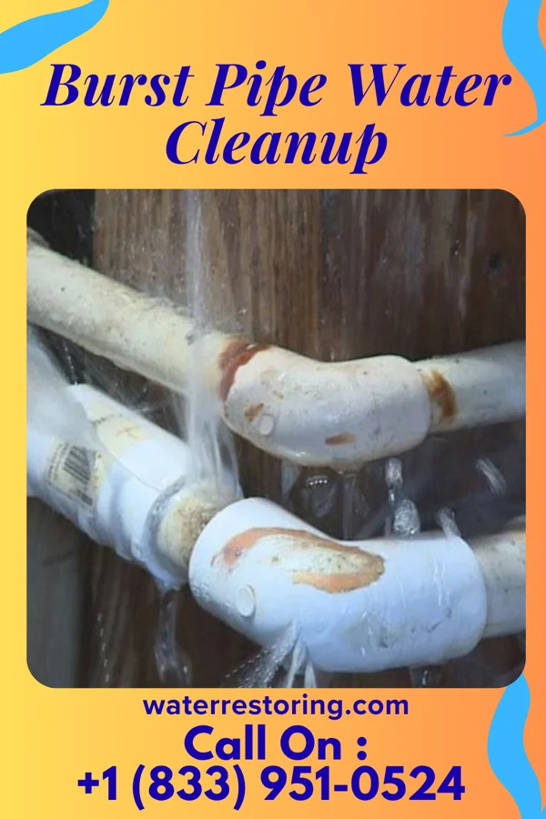 Burst Pipe Water Cleanup in Taylorsville, UT