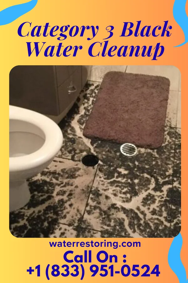 Category 3 Black Water Cleanup in Taylorsville, UT