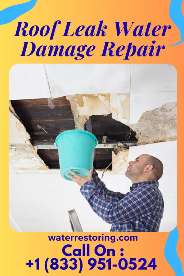 Roof Leak Water Damage Repair in Taylorsville, UT